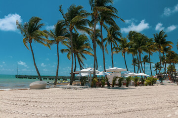 Unveiling Key West's Coastal Majesty: White Sands, Palm Trees, and Turquoise Waters