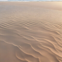 Fototapeta premium sand dunes on the beach