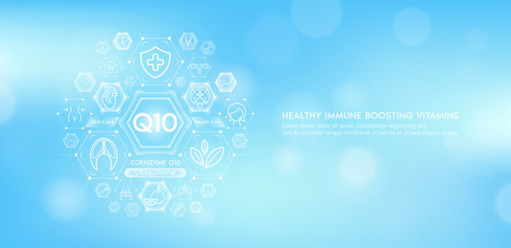 Coenzyme Q10 or Ubiquinone with medical icons. Vitamins minerals from natural essential health skin care body organs healthy. Build immunity antioxidants digestive system. Banner vector EPS10.