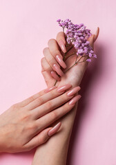 Female hands with pink nail design  hold gypsophila flowers.