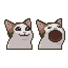  cat smiling, pixel art meme
