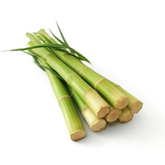 Original color sugarcane bundle on white background