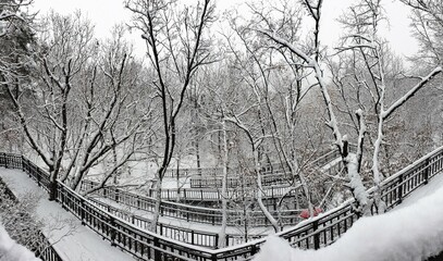 12월 하얀 눈 내리는 겨울 산책로, 아름다운 설경, 서울 봉화산 겨울 풍경 - winter road, snowy winter tree & winter scenery