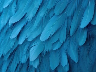Obraz premium Close Up of Blue Birds Feathers Revealing Natures Beautiful Brilliance. Abstract background.