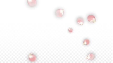 Pink Vector Realistic Petals Falling on Transparent Background.  Spring Romantic Flowers Illustration. Flying Petals. Sakura Spa Design. Blossom Confetti. Design Elements for Wedding Decoration.