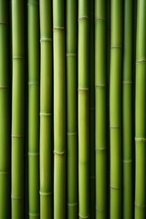 Obraz premium Close Up of Lush Green Bamboo Plant With Abundant Leaves, Background