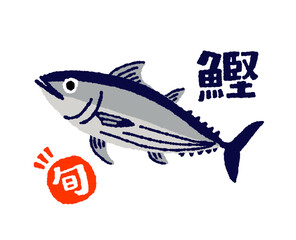 旬のカツオ【鰹】の手描きイラスト