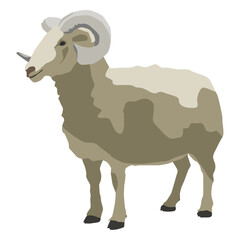 Vector ram standing isolated on white background