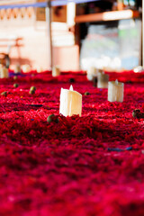 Vela Sobre Petalos Rojo vivo