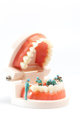 Miniature people , Dentist repairing human teeth with gums and enamel