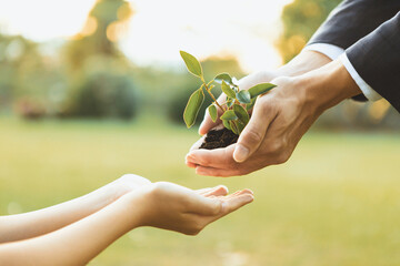 Businessman handing plant or sprout to young boy as eco company committed to corporate social...
