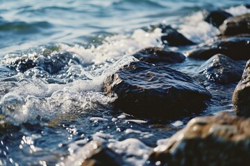 Close up view of rocks submerged in water. Suitable for nature, landscape, and outdoor-themed designs