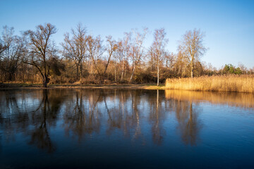 Fototapeta na wymiar reflections on a frozen lake