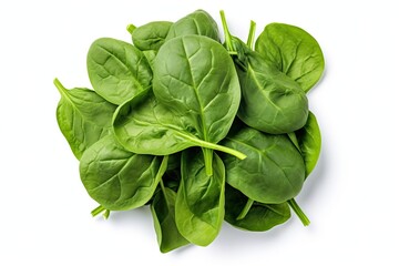 Fototapeta premium Fresh spinach on white background