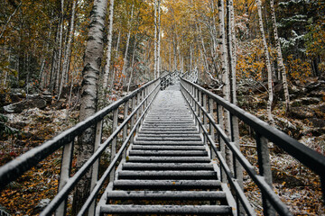 a staircase in the autumn forest swept by snow - Powered by Adobe