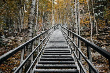 a staircase in the autumn forest swept by snow