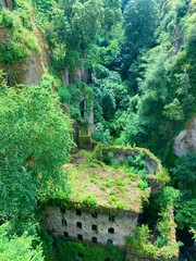 Lush Green Ruins in a ravine in Sorrento, Italy