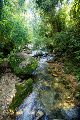 Small river in jungle. Hard trek to hidden ancient ruins of Tayrona civilization Ciudad Perdida in...