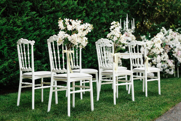 wedding chair decorated with white flowers in nature