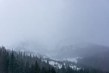 Mountains in winter time. Ukraine, Carpathians.