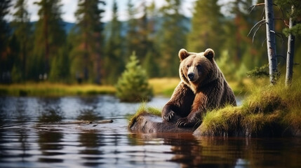 A brown bear on the shore of a reservoir in the taiga