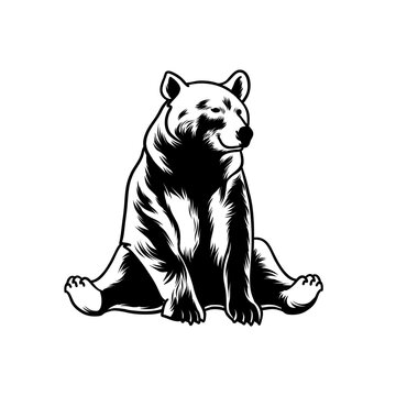 illustration of a bear sitting