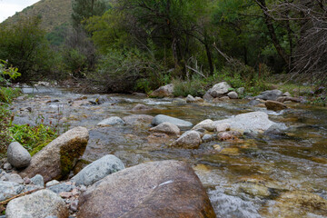 bubbling mountain stream with clear water