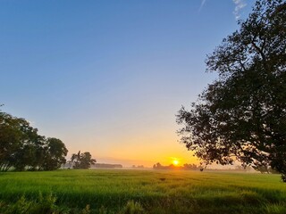 The beauty of the morning sun