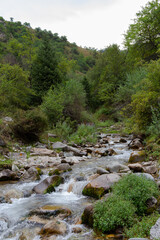 bubbling mountain stream with clear water