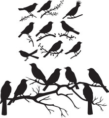 Set of black birds silhouette on branch white background 