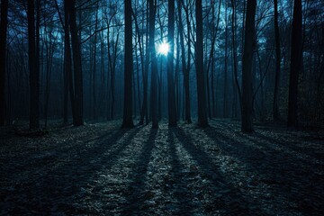 Bright moon casting shadows in a forest