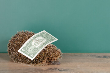 A hedgehog brought one dollar to school on its thorns