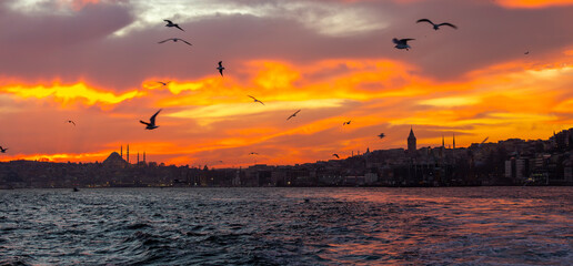 Fototapeta na wymiar Galata Tower view with Bosphorus tour in Istanbul