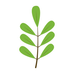 Flower Plants Minimalist