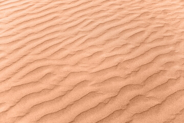 Fototapeta na wymiar closeup of sand pattern of a beach in the summer. New trending PANTONE Peach Fuzz colour of 2024 year