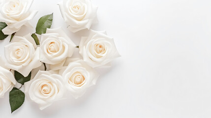 Bouquet of white roses white background