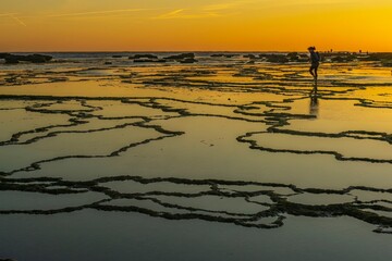 Naklejka premium Fractals on the Trafalgar coast in the Meca pipes of Cadiz - Spain.