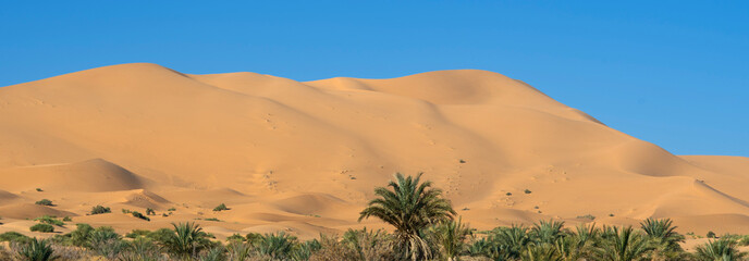 Dunes of Merzouga desert
