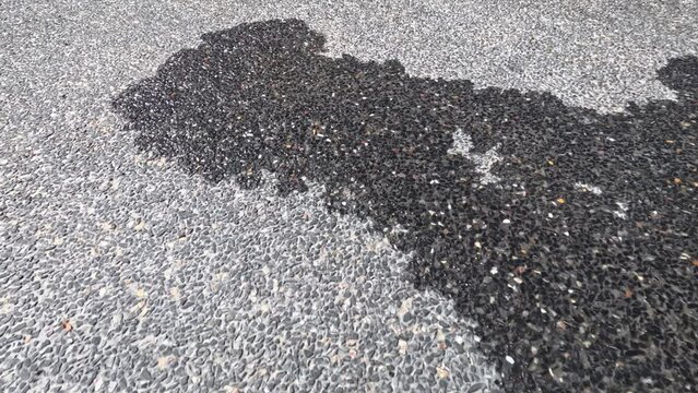Evaporating Puddle Time-Lapse