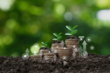 Sustainable environment Investment, or investing in renewable energy,   green invest. ESG environmental social governance concept.business strategy. Coins on the ground with icon and graph Growth. 