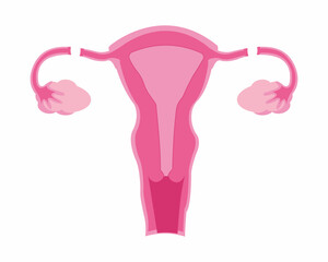 Female sterilization procedures vasectomy and tubal ligation healthcare and birth control vector illustration.