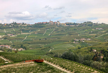 Langhe vineyards near Grinzane Cavour. Unesco Site, Piedmont, Italy