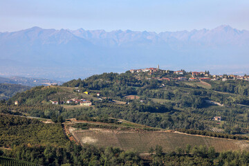 View of the Langhe-Roero hills in Piedmont with the Alps in the background. Italy
