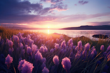 Golden sunset caresses lavender fields, nature's masterpiece unfolds on a tranquil horizon - obrazy, fototapety, plakaty