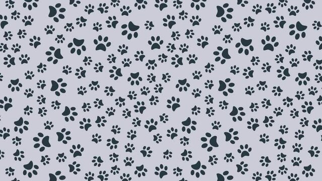 Pads of cat paws animated seamless pattern. Animal paw prints on ground. Design element. Looped video background
