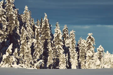 Image from the Oppegardsetra Round Trip and the Kalvedalen Valley up in the Totenaasen Hills, Norway, in winter.