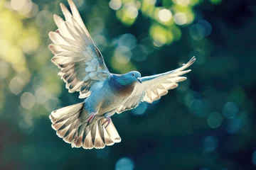 Fotobehang Bird flying. Bird background.  © kramynina