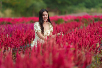 beautiful woman in dress enjoying celosia flower blooming in field