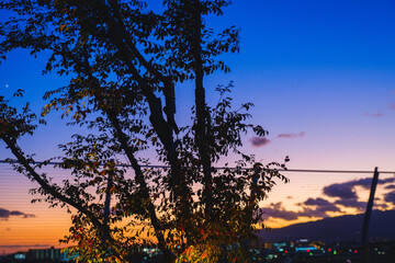 An airport that increases the convenience of access to the western Japan area【Itami Airport】