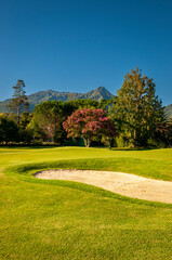 Obraz premium Golf course with treelined fairways and mountain views